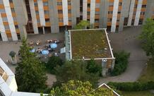 Holi Pizza - Im Herzen von Bern West