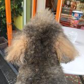 ユッテ cafe yutte