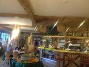 Roemerkeller Dolasilla