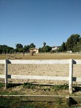 Ristorante Eucalipto