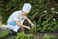 Gasthof zum Rebstock