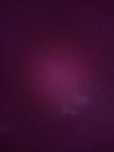 Jolly Ristorante Pizzeria