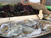 Scaru ristorantino fish&wine