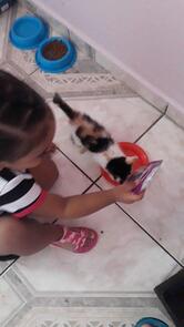 Skill Pizzaria e Pastelaria