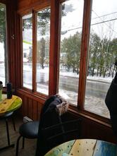 Café O'Marguerites - Coopérative de solidarité