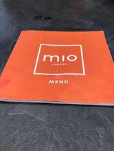 Mio Landau