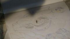 Casa Roma Restaurant