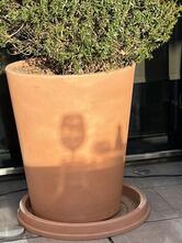 Restaurante Panorámico