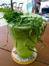 Pérsio's Riviera Trailer