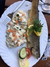 Herings Im Martinswinkel