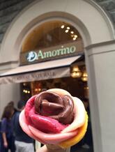 Amorino Gelato - Firenze Cerretani