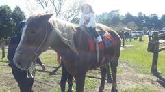 Villa Rosa Brasil Costela Fogo de Chão