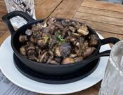 Willard Hicks Morgan Hill