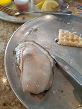 Shuckin' Shack Oyster Bar