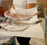 La Pesceria Barberini