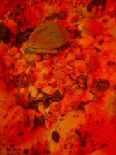 Fratelli la Bufala Mestre