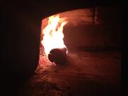 Trattoria Pizzeria Tosoni Roma