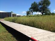 Antonello Colonna Labico