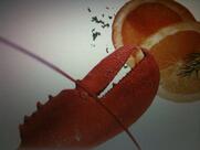 Restaurant Scheucher