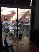 Caffuccino Rock Forest