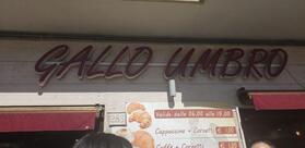 Gallo Umbro
