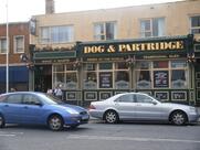 Dog & Partridge
