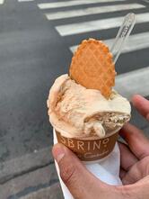 Sbrino - Gelatificio Contadino
