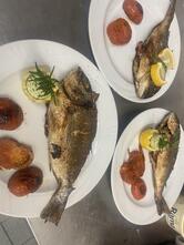 Pizzeria Heimservice La Rondine