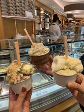 Gelateria Pasticceria Badiani