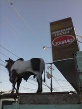 Churrascaria Tourão