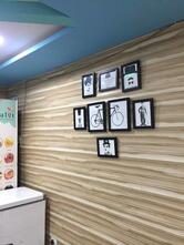 Gatox Scoop Of Nature