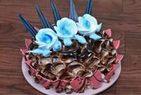 Twilicious Bakery And Cakes