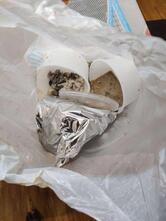 Village Roof Top Lounge And Dining