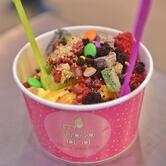 Myfroyoland Premium Frozen Yoghurt