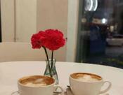 Marzipan Cafe & Bakery