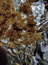 SS Hyderabad Biryani AVADI HVF Road