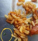 Raj Celebration Fast Food