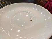 Masemari - The Fishing