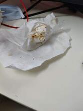 Arabian Chicken Shawarma