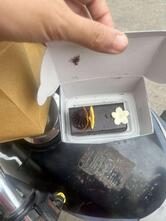 Theobroma Bakery and Cake Shop - Poonam Chambers, Nagpur