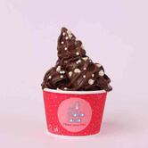 Myfroyoland Premium Frozen Yogurt - Malviya Nagar, Jaipur