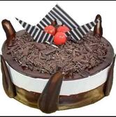 Ninety Degrees The Ultimate Food Studio JM Road