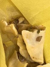 Momo Cravings - Malsi