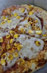 Domino's Pizza Palsikar Colony, Indore