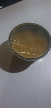 Roti Aur Boti Xpress