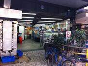 Panificação União