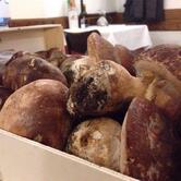 Ristorante Pace Piazza Roma