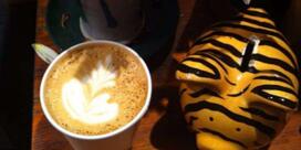 Café Les Saisons Coffee, Chelsea, Québec