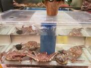 Newport Seafood Restaurant