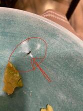 Kitchen Garden By Suzette